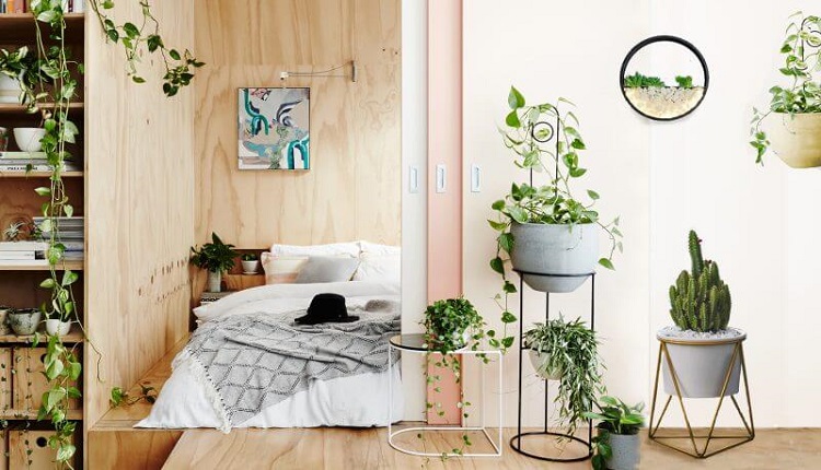 استفاده از گل و گیاه در اتاق استراحت و خواب