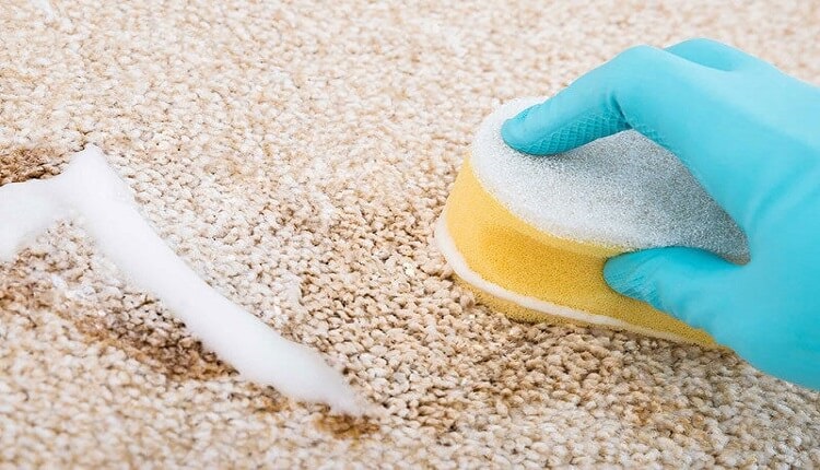 پاک سازی فرش با سرکه سفید