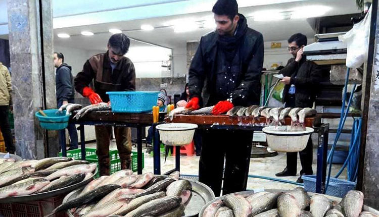 بازارهای ماهی شمال