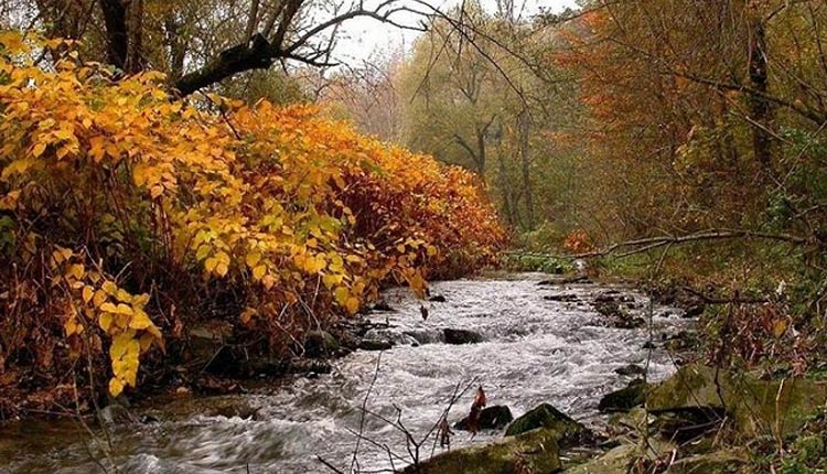 سفر یک روزه اطراف تهران