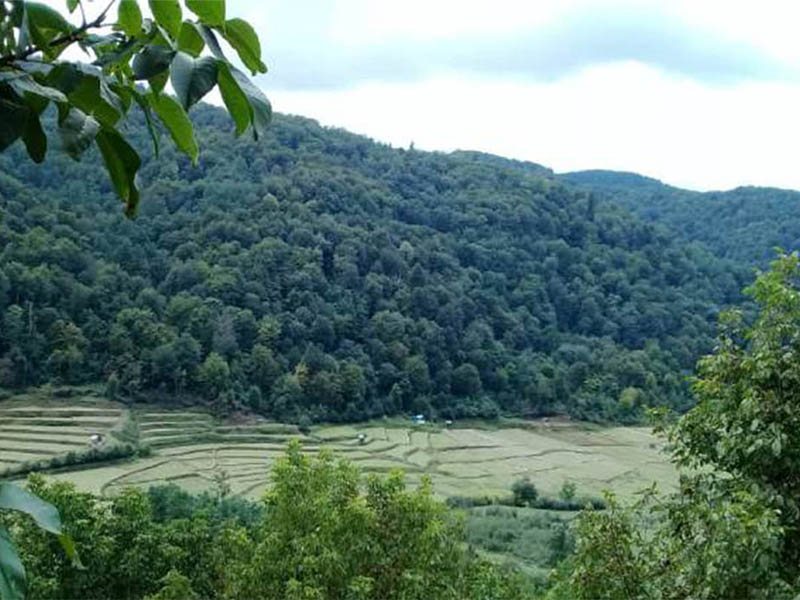  نوشهر مازندران