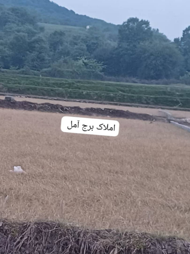 زمین 300 متری در آهنگر کلا آمل12840910300