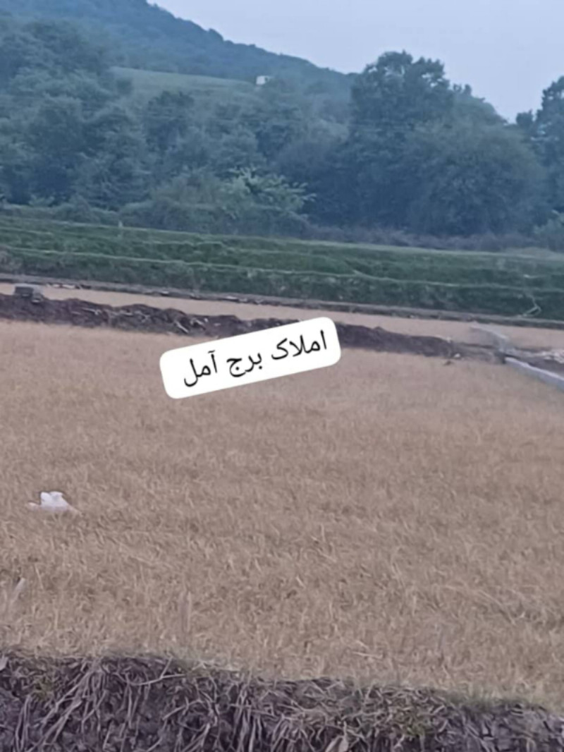 زمین 300 متری در آهنگر کلا آمل12840910301