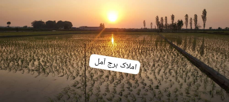 زمین 5000 متری در آمل12841010304