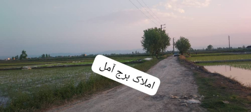 زمین 5000 متری در آمل12841010306