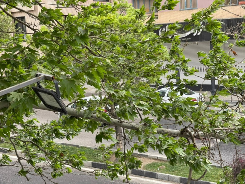 آپارتمان 127 متری دو خوابه در طالقانی همدان12852910618
