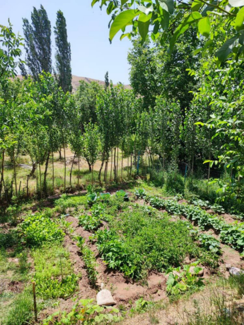 زمین 300 متری در طالقان12985212447