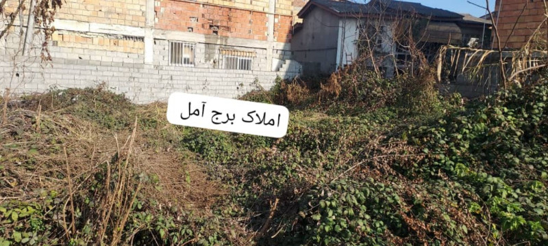 زمین 240 متری در بلوار شهید مطهری آمل1256111402