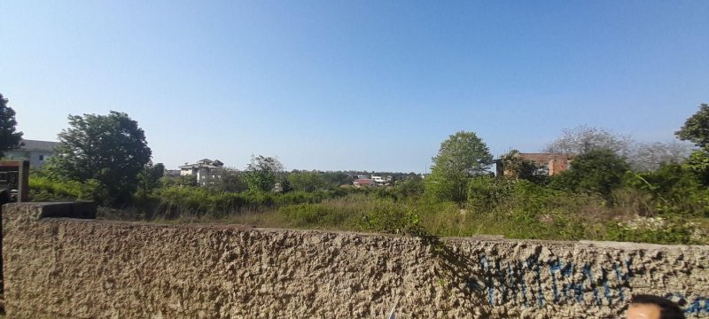 زمین 2100 متری در نوشهر