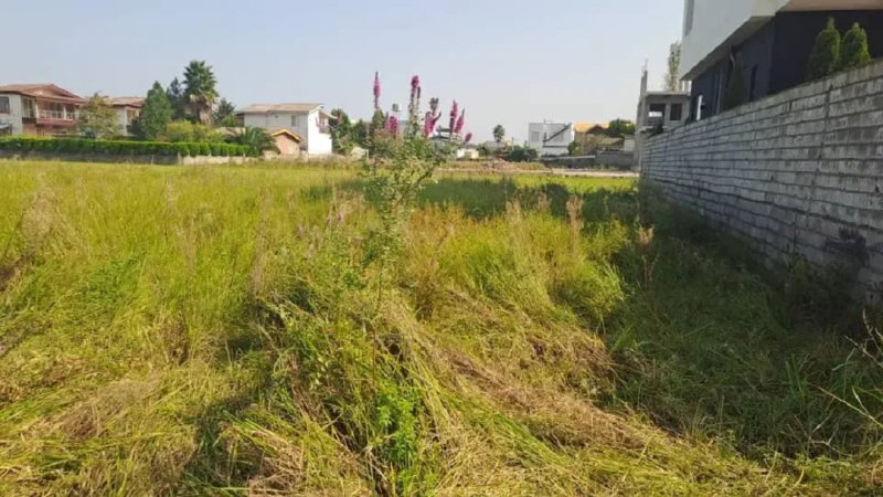 زمین 330 متری در روستای دزدک نوشهر13376717991