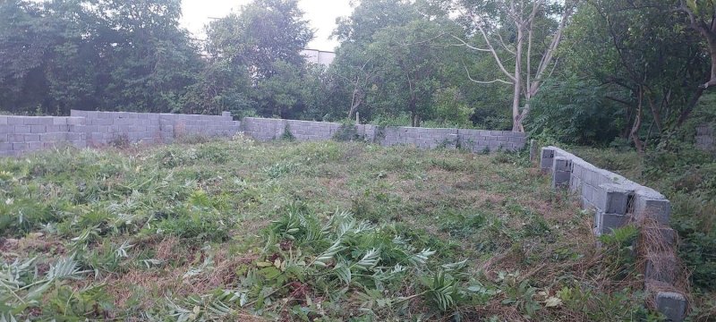 زمین 208 متری در درزیکلا نوشهر13426518731