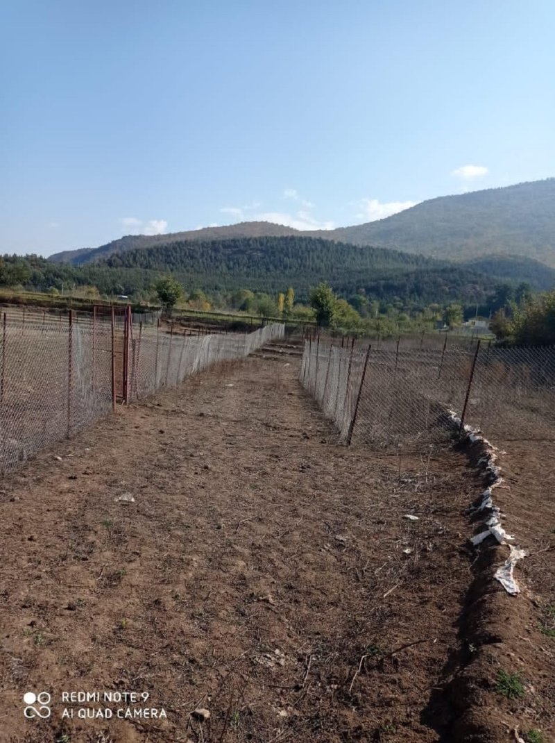 زمین 350 متری در کجور نوشهر13434418894