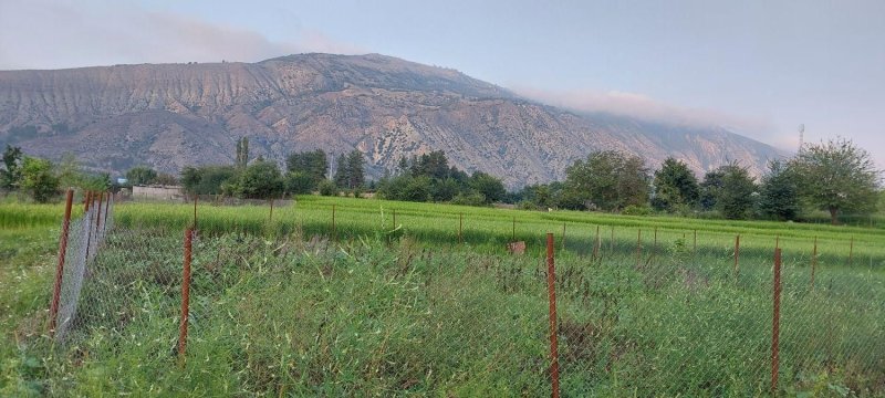 زمین 350 متری در کجور نوشهر13434418895