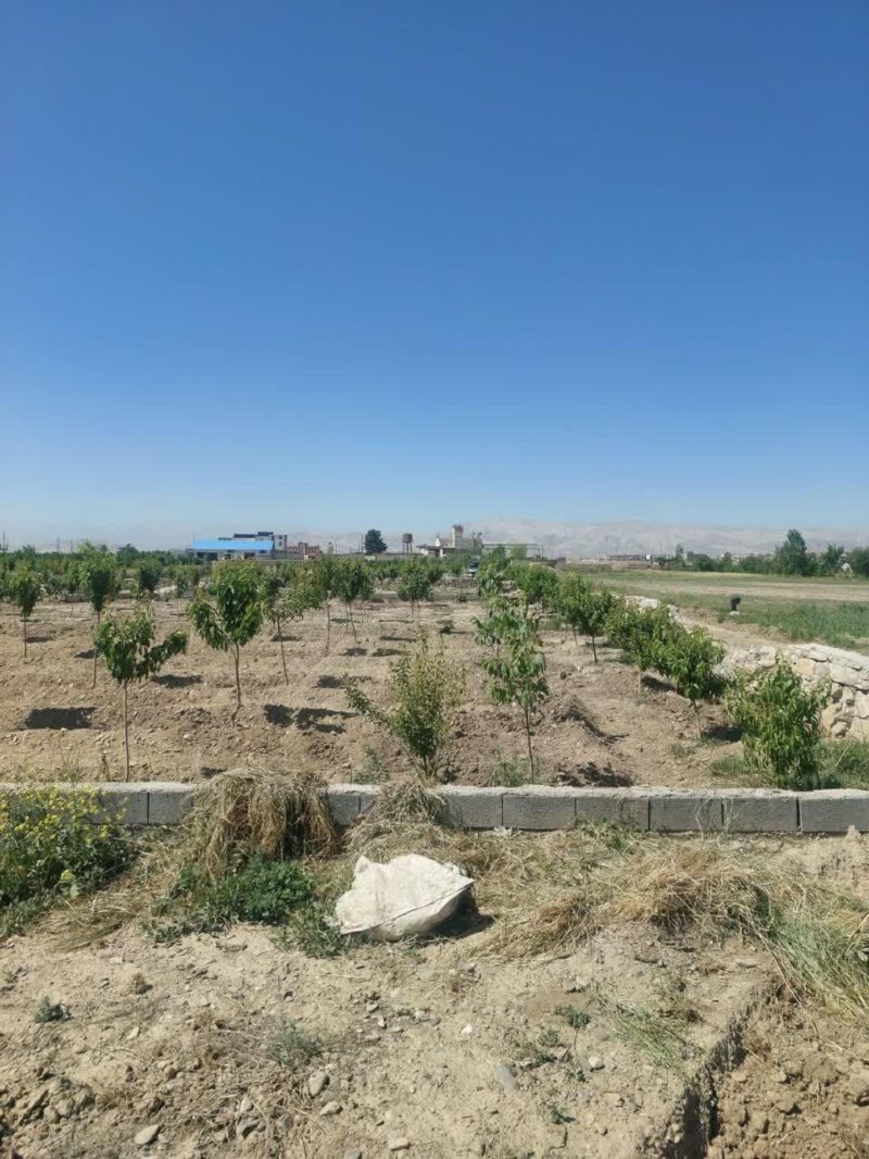 زمین 1200 متری در گلبهار