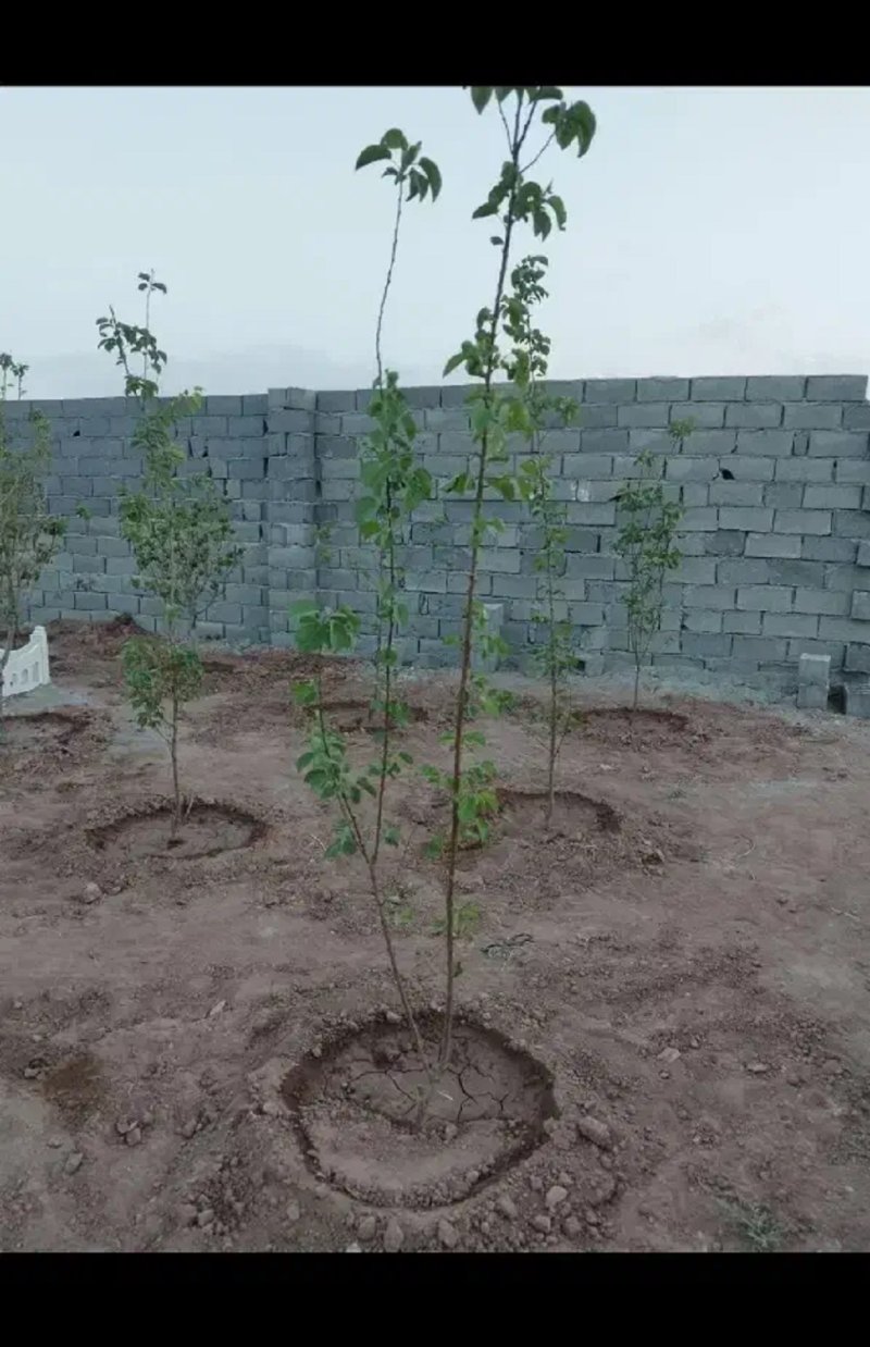 باغ 175 متری در تهران