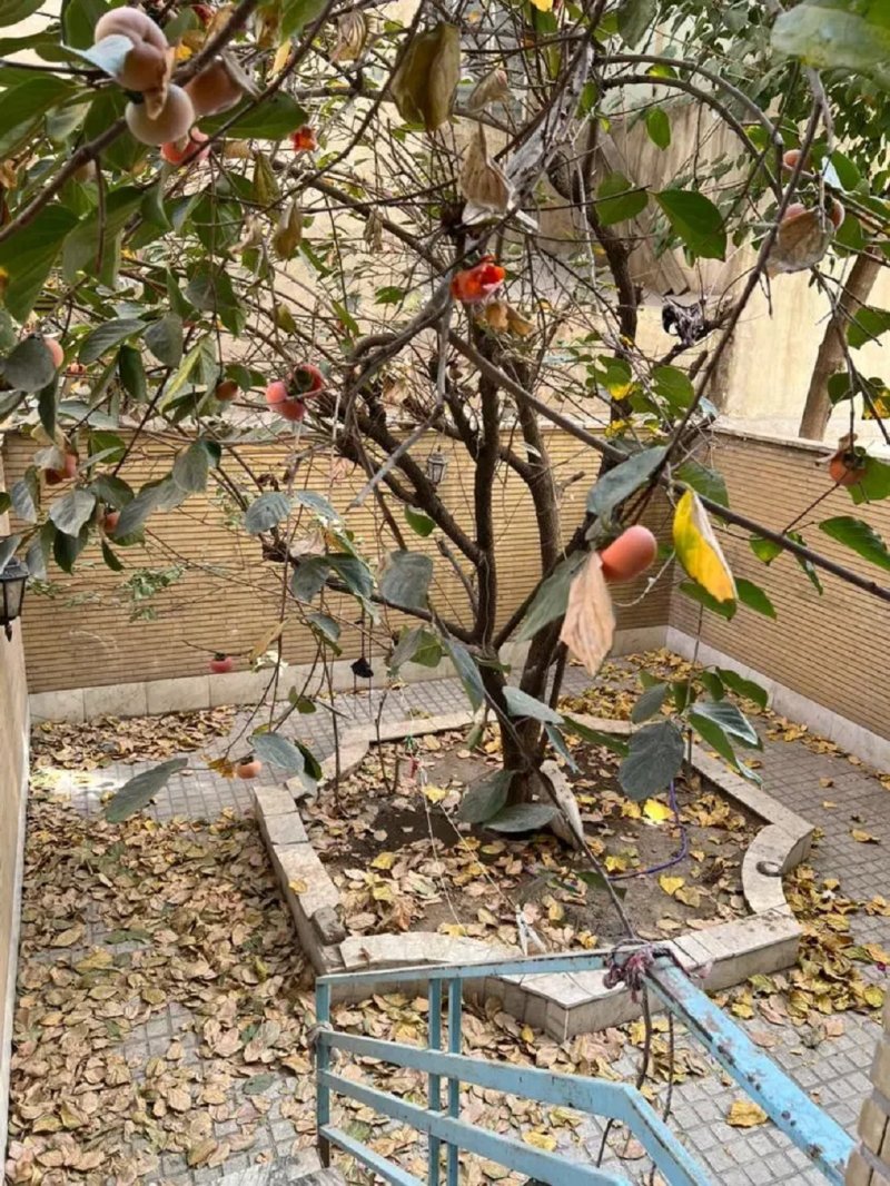 خانه 82 متری دو خوابه در نیروی هوایی تهران13588221844