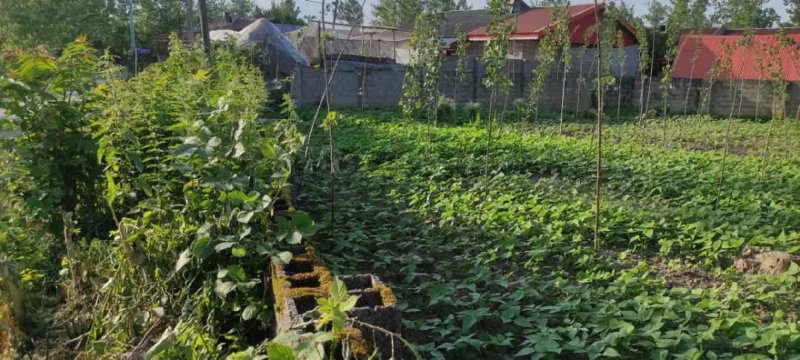 زمین 505 متری در بندرانزلی13604822286