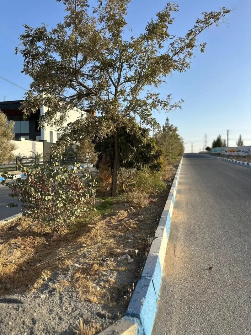 زمین 500 متری در چهارباغ کرج