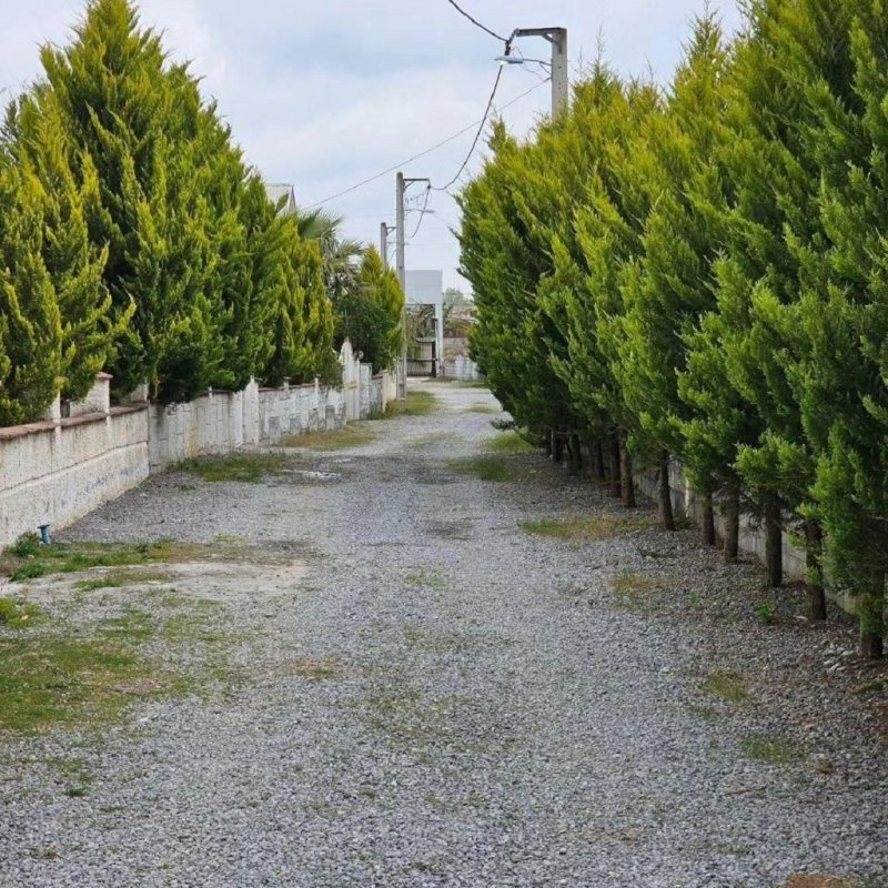 ویلا 250 متری دو خوابه در نور نور مازندران13769426386