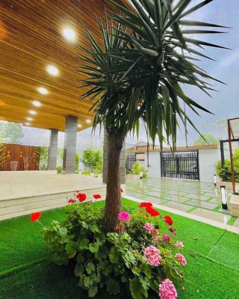 ویلا 380 متری سه خوابه در نوشهر13771426498