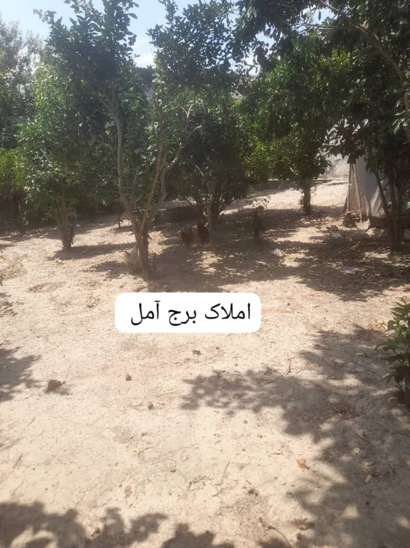 ویلا 770 متری دو خوابه در بلوار بسیج آمل13820527912