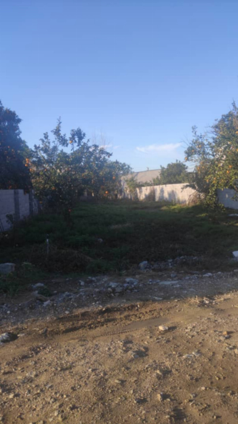 باغ 530 متری در آمل1261863065