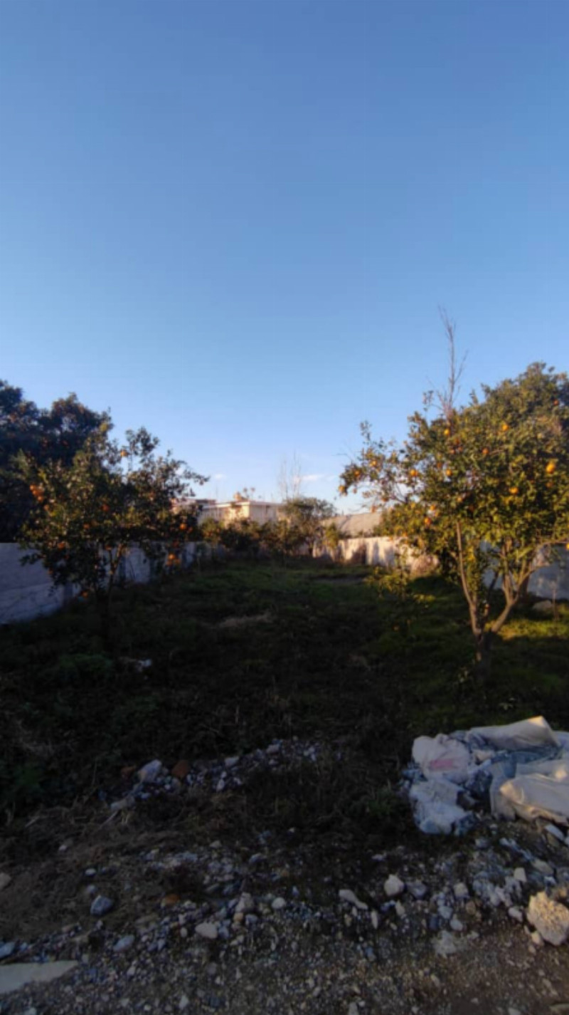 باغ 530 متری در آمل1261863066