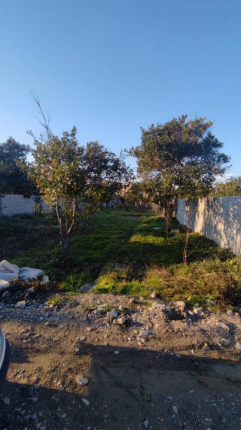باغ 530 متری در آمل1261863068