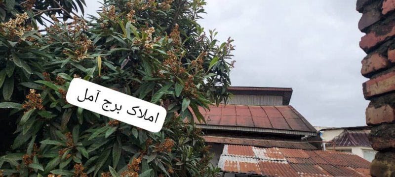 کلنگی 231 متری در بلوار بسیج آمل