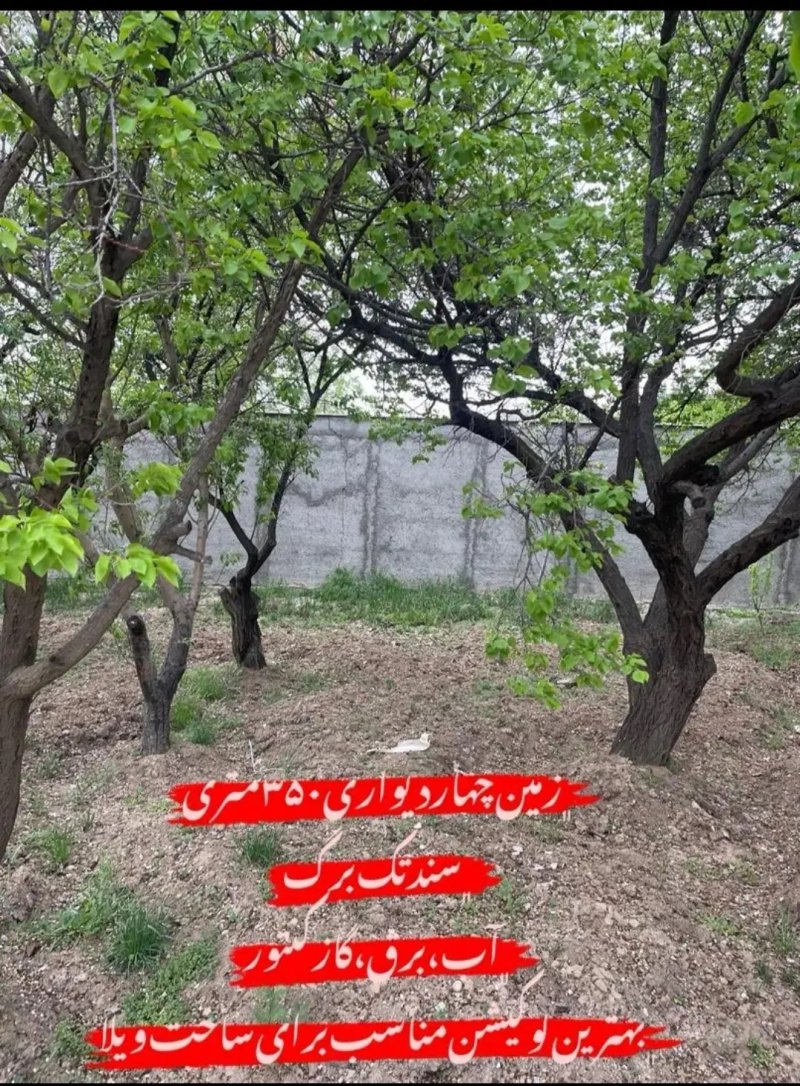 باغ 350 متری در شهرک زعفرانیه کرج