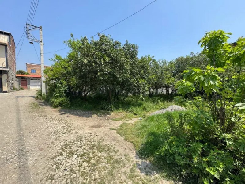 زمین 285 متری در قائمشهر قائم شهر14297034937