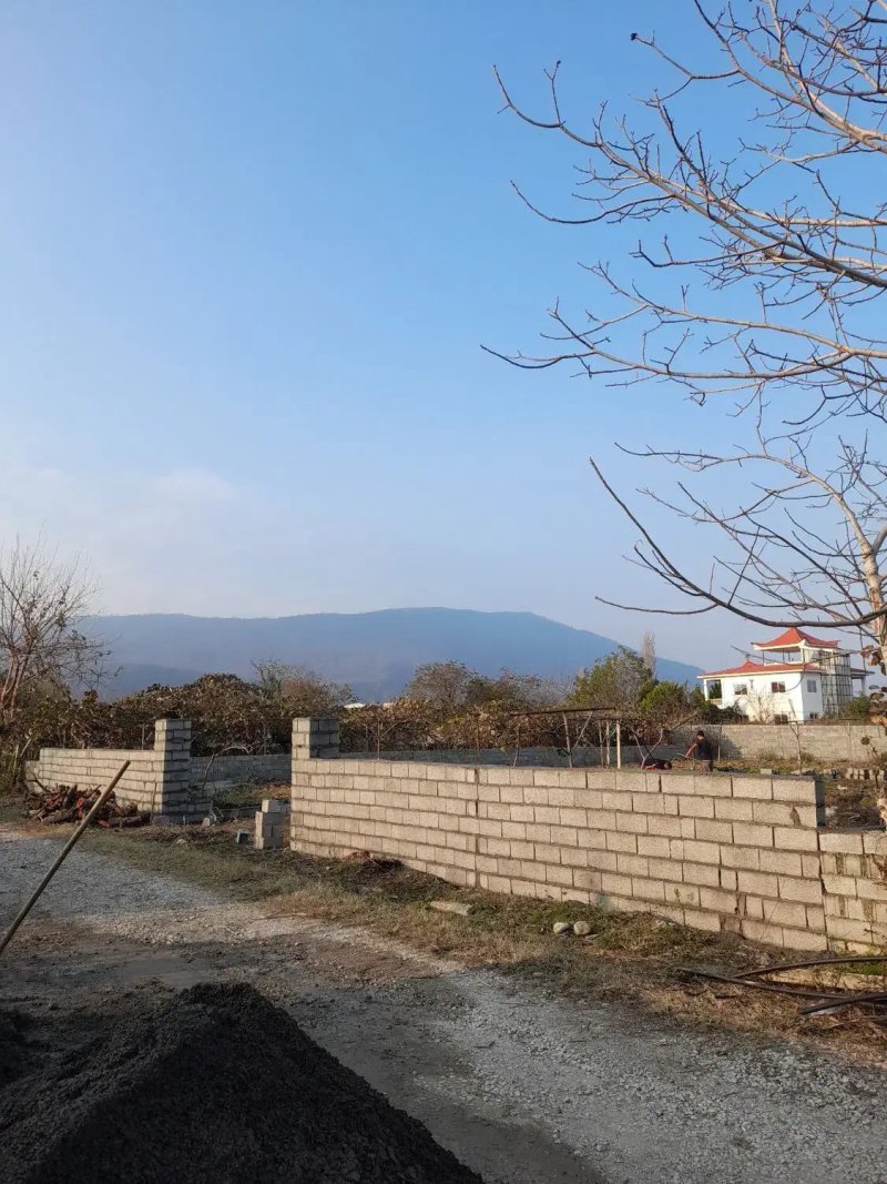 زمین 740 متری در گلستان چالوس