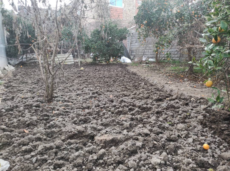 باغ 240 متری در آمل1263473733