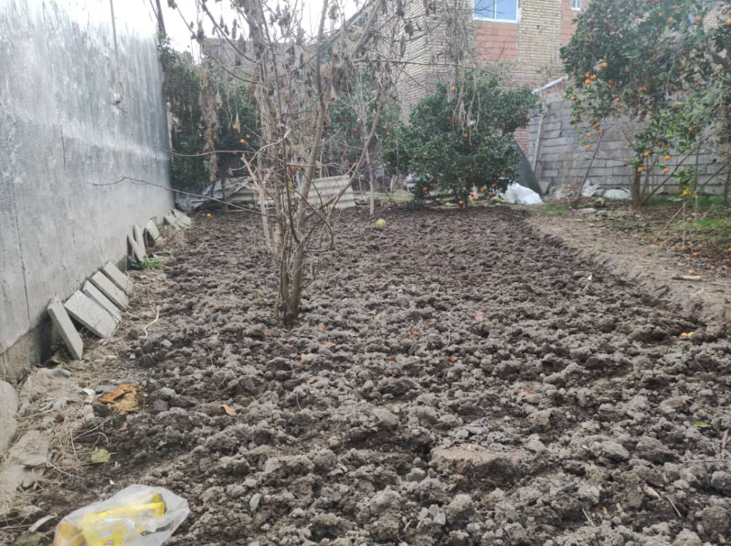 باغ 240 متری در آمل1263473734