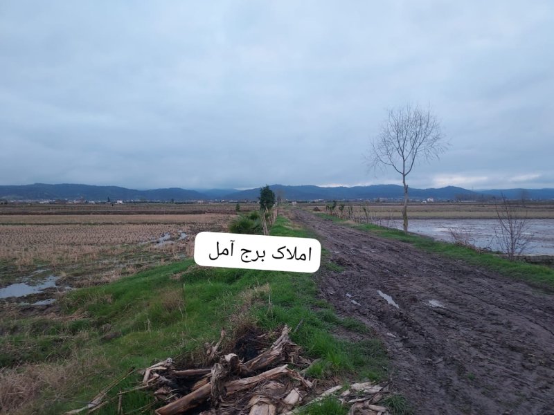 زمین 1250 متری در سرخکلا آمل