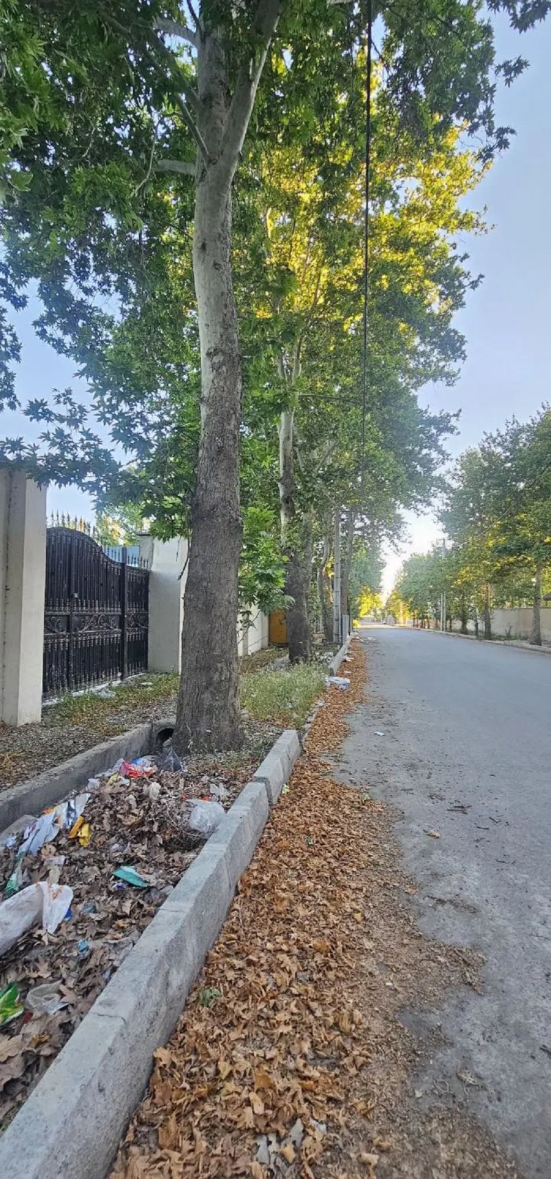 زمین 500 متری در فاز 3 گوهردشت
