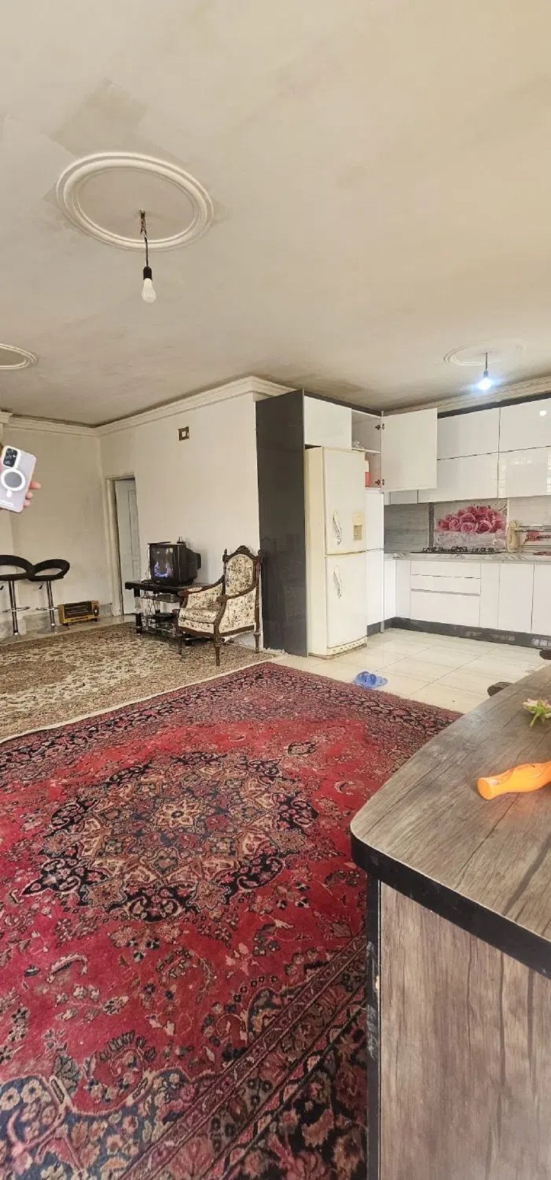 ویلا 750 متری یک خوابه در تهراندشت کرج14545638346