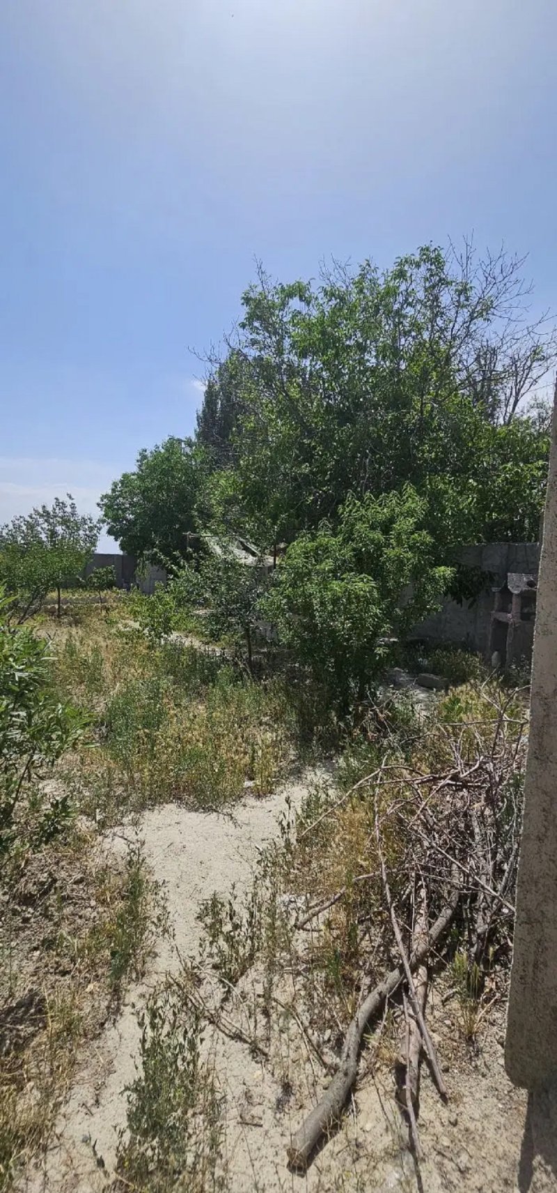 زمین 440 متری در کردان کرج14547438406