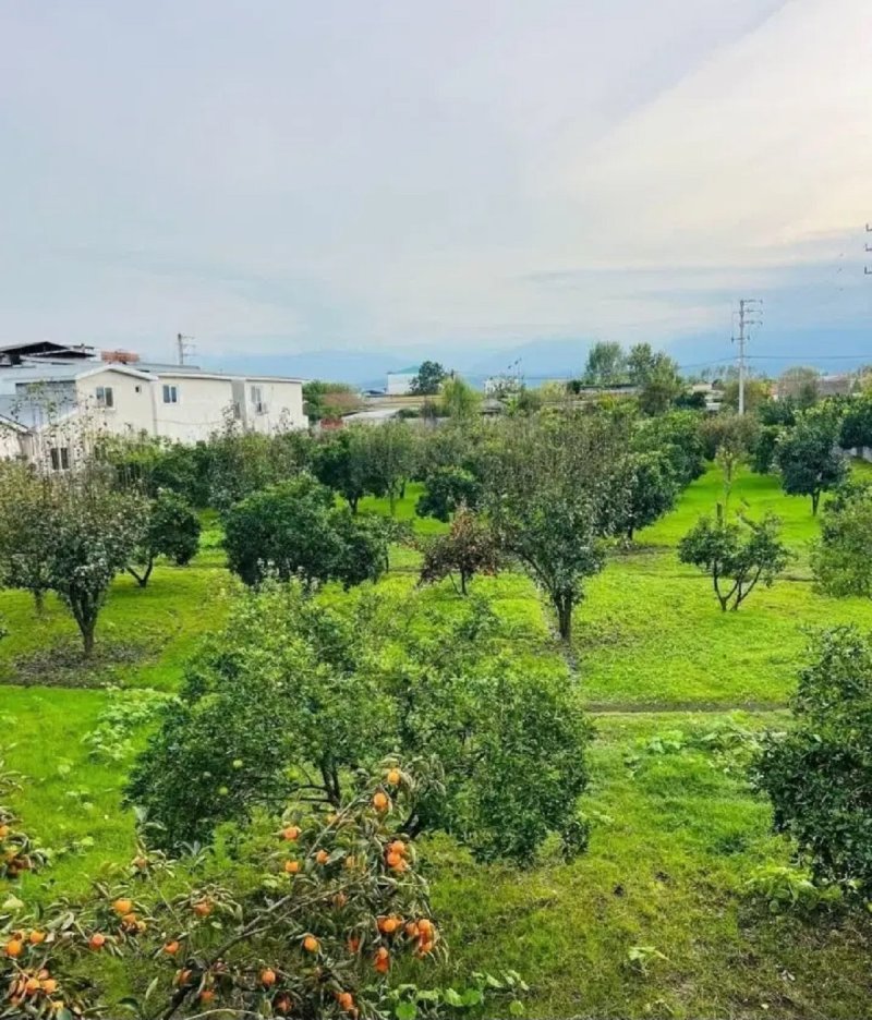 باغ 750 متری در چمستان
