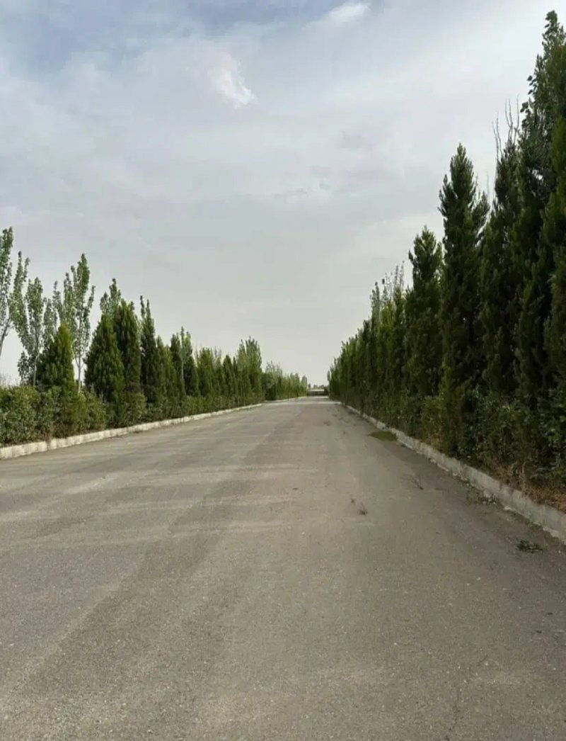 زمین 500 متری در سهیلیه کرج14584839253