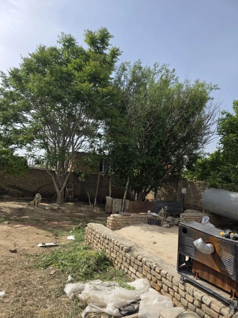 باغ 500 متری در گلبهار مشهد14586639311