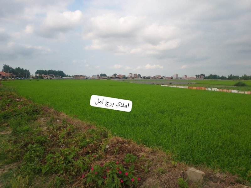 زمین 1500 متری در کته پشت آمل14587639324