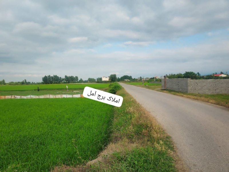 زمین 1500 متری در کته پشت آمل14587639325