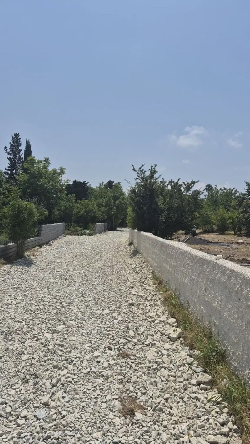 زمین 250 متری در درزیکلا نوشهر14599639627