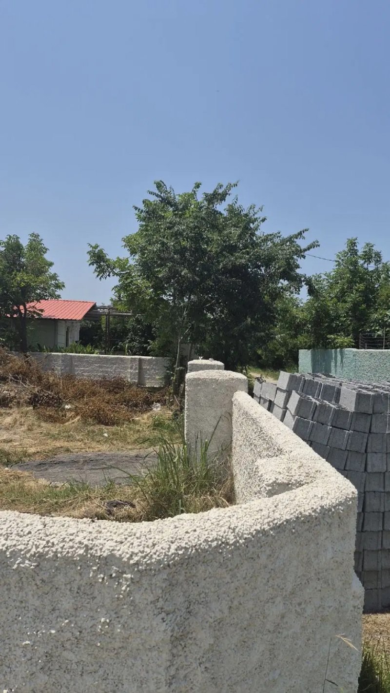 زمین 250 متری در درزیکلا نوشهر14599639628