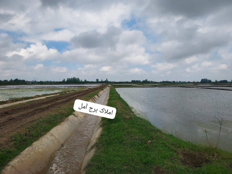 زمین 4000 متری در زیارودشت آمل14679840060