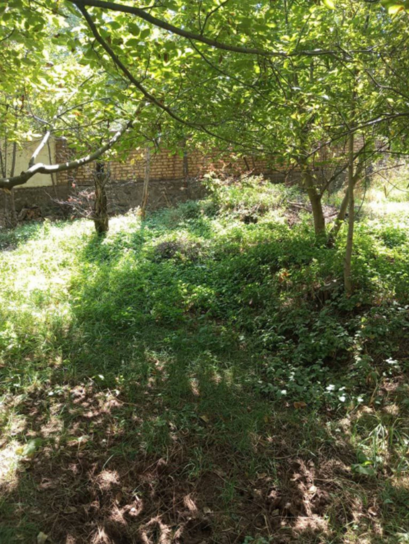 زمین 320 متری در حسنجون طالقان1264614083
