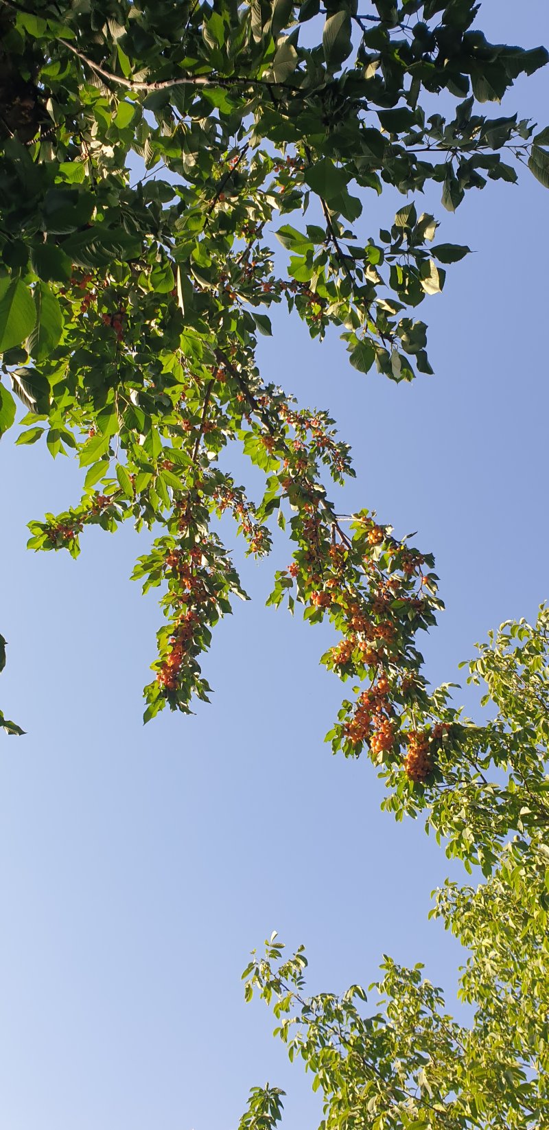 آپارتمان 89 متری دو خوابه در جورقان