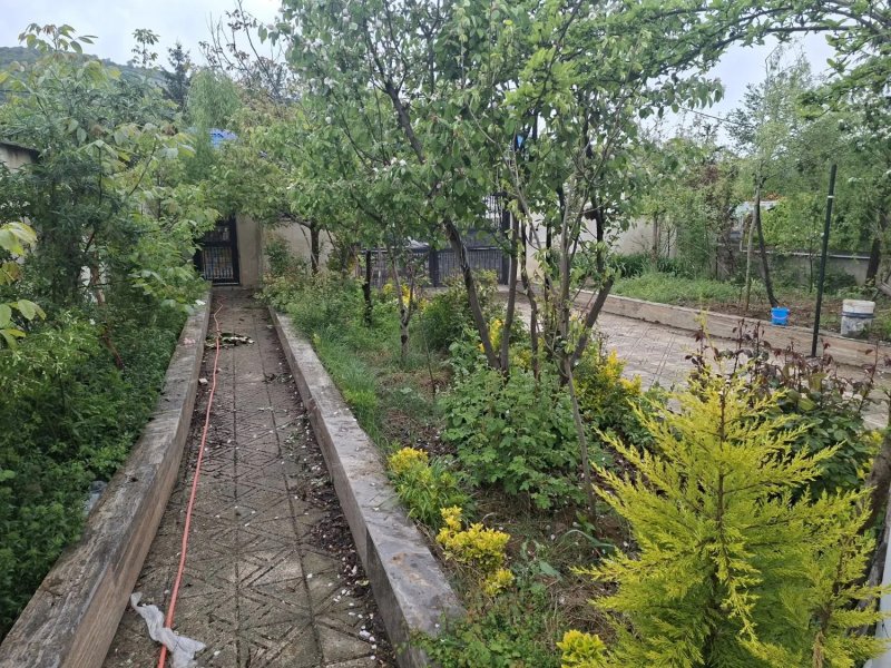ویلا 700 متری سه خوابه در کلاردشت