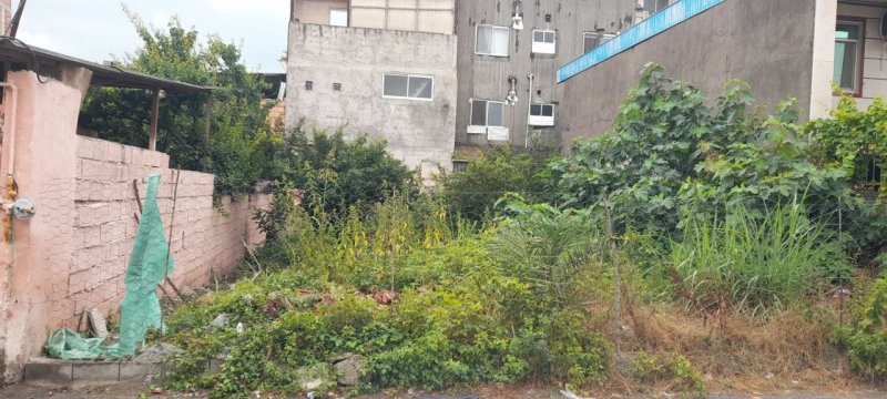 زمین 209 متری در مطهر آمل